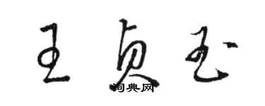 駱恆光王貞玉草書個性簽名怎么寫