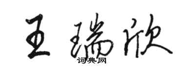 駱恆光王瑞欣行書個性簽名怎么寫