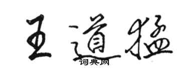 駱恆光王道猛行書個性簽名怎么寫