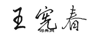 駱恆光王憲春行書個性簽名怎么寫