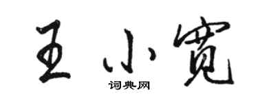 駱恆光王小寬行書個性簽名怎么寫