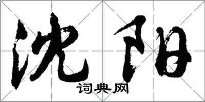 胡問遂瀋陽行書怎么寫