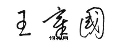 駱恆光王章國草書個性簽名怎么寫