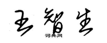 朱錫榮王智生草書個性簽名怎么寫