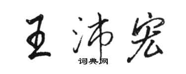 駱恆光王沛宏行書個性簽名怎么寫