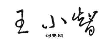 駱恆光王小智草書個性簽名怎么寫
