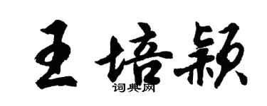 胡問遂王培穎行書個性簽名怎么寫