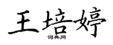 丁謙王培婷楷書個性簽名怎么寫