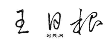 駱恆光王日根草書個性簽名怎么寫