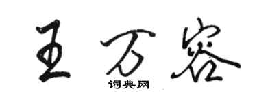 駱恆光王萬容行書個性簽名怎么寫