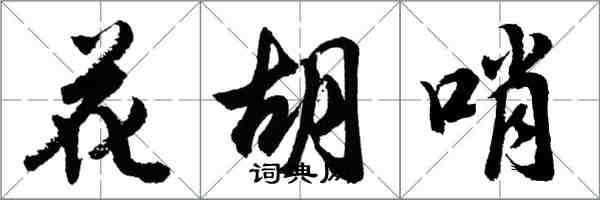 胡問遂花胡哨行書怎么寫