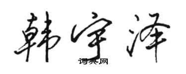 駱恆光韓宇澤行書個性簽名怎么寫