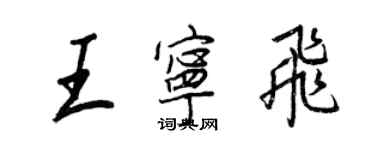 王正良王寧飛行書個性簽名怎么寫