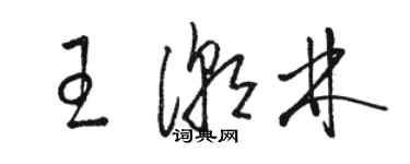 駱恆光王潮林草書個性簽名怎么寫