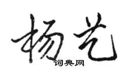 駱恆光楊藝行書個性簽名怎么寫