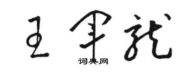 駱恆光王軍龍草書個性簽名怎么寫