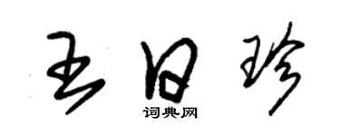 朱錫榮王日珍草書個性簽名怎么寫