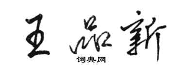 駱恆光王品新行書個性簽名怎么寫