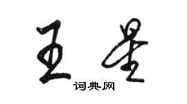 駱恆光王星行書個性簽名怎么寫