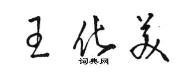 駱恆光王化美草書個性簽名怎么寫