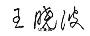 駱恆光王曉波草書個性簽名怎么寫