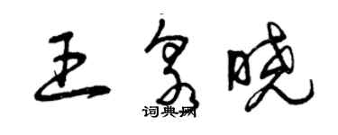 曾慶福王泉曉草書個性簽名怎么寫