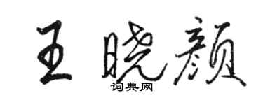 駱恆光王曉顏行書個性簽名怎么寫