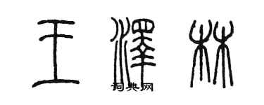 陳墨王澤林篆書個性簽名怎么寫