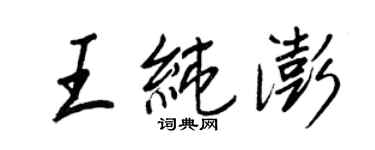 王正良王純澎行書個性簽名怎么寫