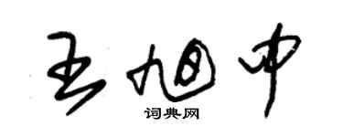 朱錫榮王旭中草書個性簽名怎么寫