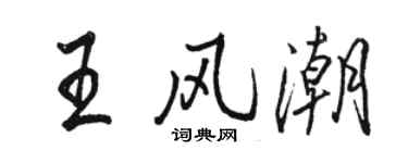 駱恆光王風潮行書個性簽名怎么寫