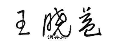 駱恆光王曉益草書個性簽名怎么寫