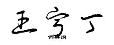 曾慶福王寧丁草書個性簽名怎么寫