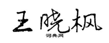 曾慶福王曉楓行書個性簽名怎么寫