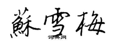 王正良蘇雪梅行書個性簽名怎么寫