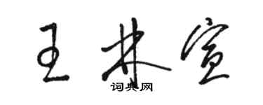 駱恆光王林宣草書個性簽名怎么寫