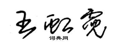 朱錫榮王虹霓草書個性簽名怎么寫