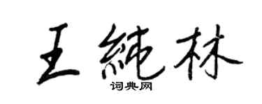 王正良王純林行書個性簽名怎么寫