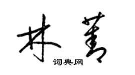 梁錦英林菁草書個性簽名怎么寫