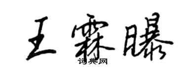 王正良王霖曝行書個性簽名怎么寫