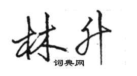 駱恆光林升行書個性簽名怎么寫