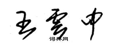 朱錫榮王雲中草書個性簽名怎么寫