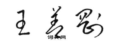 駱恆光王善剛草書個性簽名怎么寫