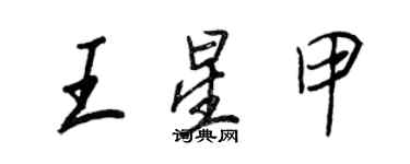 王正良王星甲行書個性簽名怎么寫