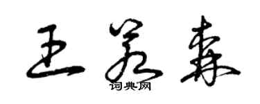 曾慶福王若森草書個性簽名怎么寫