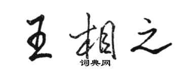駱恆光王相之行書個性簽名怎么寫