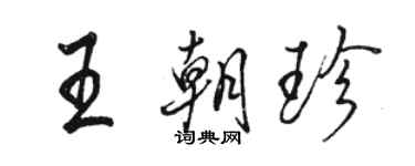 駱恆光王朝珍行書個性簽名怎么寫