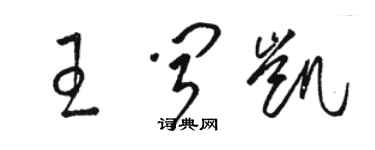 駱恆光王聞凱草書個性簽名怎么寫