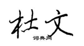 王正良杜文行書個性簽名怎么寫