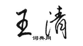 駱恆光王清行書個性簽名怎么寫